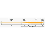 Rio Avid Trout Gold Fly Line - 80' - 6
