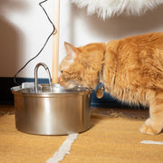 KIttySpout Cat Water Fountain Filters, 4L - Stainless Steel Colour