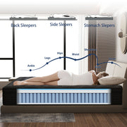 Zekbip Hybrid Mattress, 14 Inch, Gel Memory Foam with Individually Wrapped Pocket Coils, Medium Firm, Cooling, Pressure Relief, King