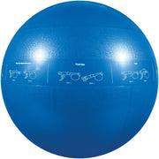 GoFit 55cm Stability Ball for Core Training with Pump and Exercise Guide, Blue