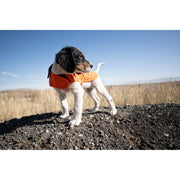 Carhartt Chore Coat for Dogs - Hunter Orange - X-Large