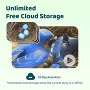 Birdfy Smart Bird House, Solar Powered 1080P HD Camera with Night Vision, Eco-Friendly Bamboo, Polygon Shape, Blue