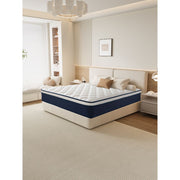 Kesyup Queen Size 12 Inch Mattress in a Box