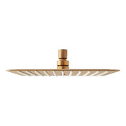 Signature Hardware Contemporary Rain Shower Head, 2.5 GPM, Single Function, Brushed Gold, 10 in