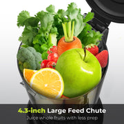 Syvio MP-802E Cold Press Masticating Juicer with 4.3 in Feed Chute, 350W Motor, Black/Silver