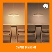 WiZ Connected A19 Tunable White LED Light Bulb, 60W Equivalent, 800 Lumens, Dimmable, E26 Base, Indoor, 1 Pack