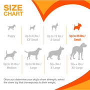 Nylabone Axis Puppy Power Chew Bone, Nylon, Vanilla Flavor, Small, 1 Count