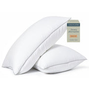 Casa Platino Bed Pillows Set of 2, Queen Size, Medium-Firm Support, Hypoallergenic Microfiber, Luxury Hotel Collection, 20 x 30 in, 90GMF2PK-QEN