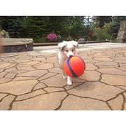 Chuckit! Kick Fetch Natural Rubber Dog Toy Ball, Large