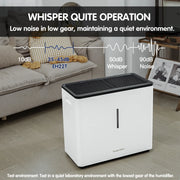 YougetTech EH22T 14.5L(3.9Gal) Tank Whole Room Humidifier