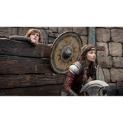 Universal Pictures Home Entertainment How to Train Your Dragon Collector's Edition DVD, Live-Action, Dolby Digital 5.1, Subtitled, 126 Minutes