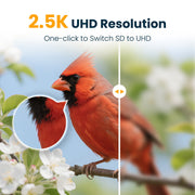 VINGUYS Smart Bird Feeder with 2.5K HD Camera, AI Identification of 11,000+ Species, Solar Powered, IP66 Waterproof, Green