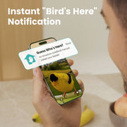 Birdfy Smart Bird Feeder with 1080P HD Camera, Color Night Vision, AI Bird Identification, Solar Powered, Metal Build, Holds 2.5L Seed, Green, 93257