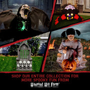 Haunted Hill Farm HHPMPCVR-FLSA 38