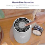 Levoit True HEPA Air Purifier Core Mini, Gray - Save Energy