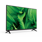 VIZIO 43