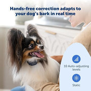PetSafe NanoBark 2.0 Dog Training Collar for Small Dogs, Adjustable 4-15 in Neck, Waterproof, Rechargeable Battery, PBC00-18240