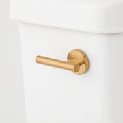 FLUSH LEV F/ CLAYDEN CLST BG