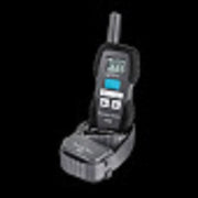 Premier Pet 600 Yard Trainer