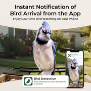 TT Nature Smart Bird Feeder with Camera, Solar Powered, AI Identification of 10000+ Birds, Weather-Resistant Fir Wood, 1080p HD with Night Vision, Outdoor Hanging Design, LBF113-SP