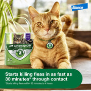 Advantage XD Large Cat Topical Flea Treatment, Fast-Acting, 2-Month Protection, Fragrance-Free, for Cats Over 9 lbs, CA4242006AM