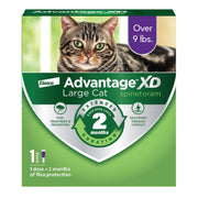 Advantage XD Large Cat Topical Flea Treatment, Fast-Acting, 2-Month Protection, Fragrance-Free, for Cats Over 9 lbs, CA4242006AM