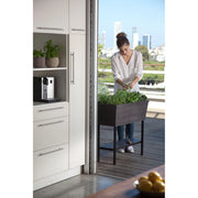 Keter 270912 Urban Bloomer 12.7 Gallon Raised Garden Bed and Outdoor Herb Garden Planter with Drainage Plug, Dark Grey