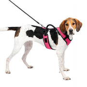 PetSafe WM-ESPH-L-PNK Easy Sport Dog Harness Large Pink Adjustable Padded Reflective