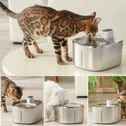 The KittySpout  Wireless Fountain - 1 Month: Wireless KittySpout + 1 filter set + AC Adapter