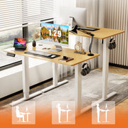 Concetta Electric Height Adjustable Desk, 55x24 Oak Wood Top, White Metal Base, Automatic Sit Stand Workstation with One-Touch Lift