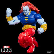 Hasbro Marvel Legends Starfox and Champion of the Universe Action Figure 2-Pack, 6-Inch Fully Articulated Collectible Figures, Comic-Inspired Design, G06435L0