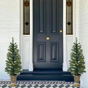 Holiday Time Pre-Lit Artificial Porch Christmas Trees, Set of 2, 3.5 ft, Green, 35 Warm White LED Lights, 90 Branch Tips, Plastic Planter Bases