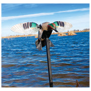 MOJO Hw2474-3P Elite Series Green-Winged Teal Motorized Duck Decoy