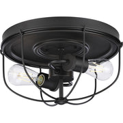 Progress Lighting Medal Collection 2-Light Graphite Industrial Flush Mount Ceiling Light, 14.5 in, Dimmable, P350195-143