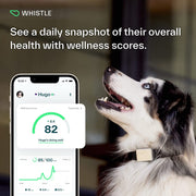 Whistle Switch Smart Collar Kit, GPS Location and Health Tracking, Shadow Black, XS/S for Dogs 5-25 lbs
