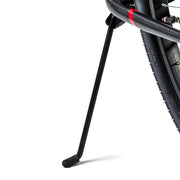 Concord Pacifica Cruiser Bike, 26