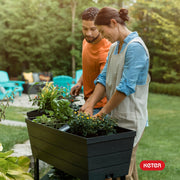 Keter Urban Bloomer Raised Garden Bed, 12.7 Gallon Self-Watering Planter, Dark Grey, Elevated Resin Design with Drainage Plug