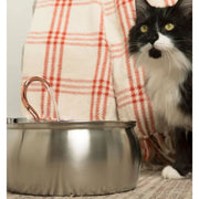 The KittySpout 24x Filter Sets + 12x FREE