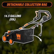 WEN Electric Dethatcher and Scarifier, 16-Inch, 15-Amp, 2-in-1 with Detachable Collection Bag, Black, DT1516