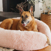 Best Friends by Sheri Donut Shag Replacement Pet Bed Cover, Extra Large 45