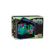 Tetra 29005 GloFish Aquarium Kit, 3 Gallon