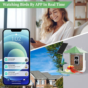 Naipo VN-DB09-08 Smart Bird Feeder Camera, Wireless Outdoor Bird Watching with 1080P Full HD, Night Vision, AI Bird Species Identification, Motion Detection, Two-Way Talk, Green