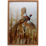 Open Road Brands Pheasant on Framed Acrylic MDF Artwork, Nature-Inspired Home Decor