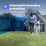 PetSafe Guardian GPS Dog Fence, Advanced AccuGuard Technology, Wireless Virtual Fence, Waterproof Rechargeable Collar, Supports Up to 8 Dogs, Black