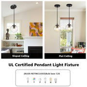 JOPESO Pendant Light Fixture Clear Globe Industrial Modern Hanging Lamp Adjustable Height L24027