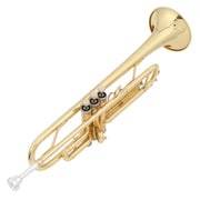 Ktaxon Bb Standard Trumpet Set, Gold Lacquer Brass, 3-Valve Beginner Trumpet with 7C Mouthpiece and Protective Case