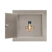 LEONARD 270-LF-STSTL-REC TMV RECESSED SS Cabinet Assembly