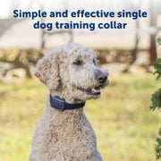 PetSafe Basic Dog Trainer with Remote
