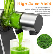 NICWIN Cold Press Masticating Juicer, 150W High Torque Motor, 55 RPM, Self-Feeding Chute, BPA-Free, Silver, HH-W01