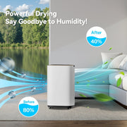 Nepsam T-DH24-0755-302 9-Pint (DOE) Multi-Function Dehumidifier, 3000 Sq. Ft Coverage Area with 3 Modes